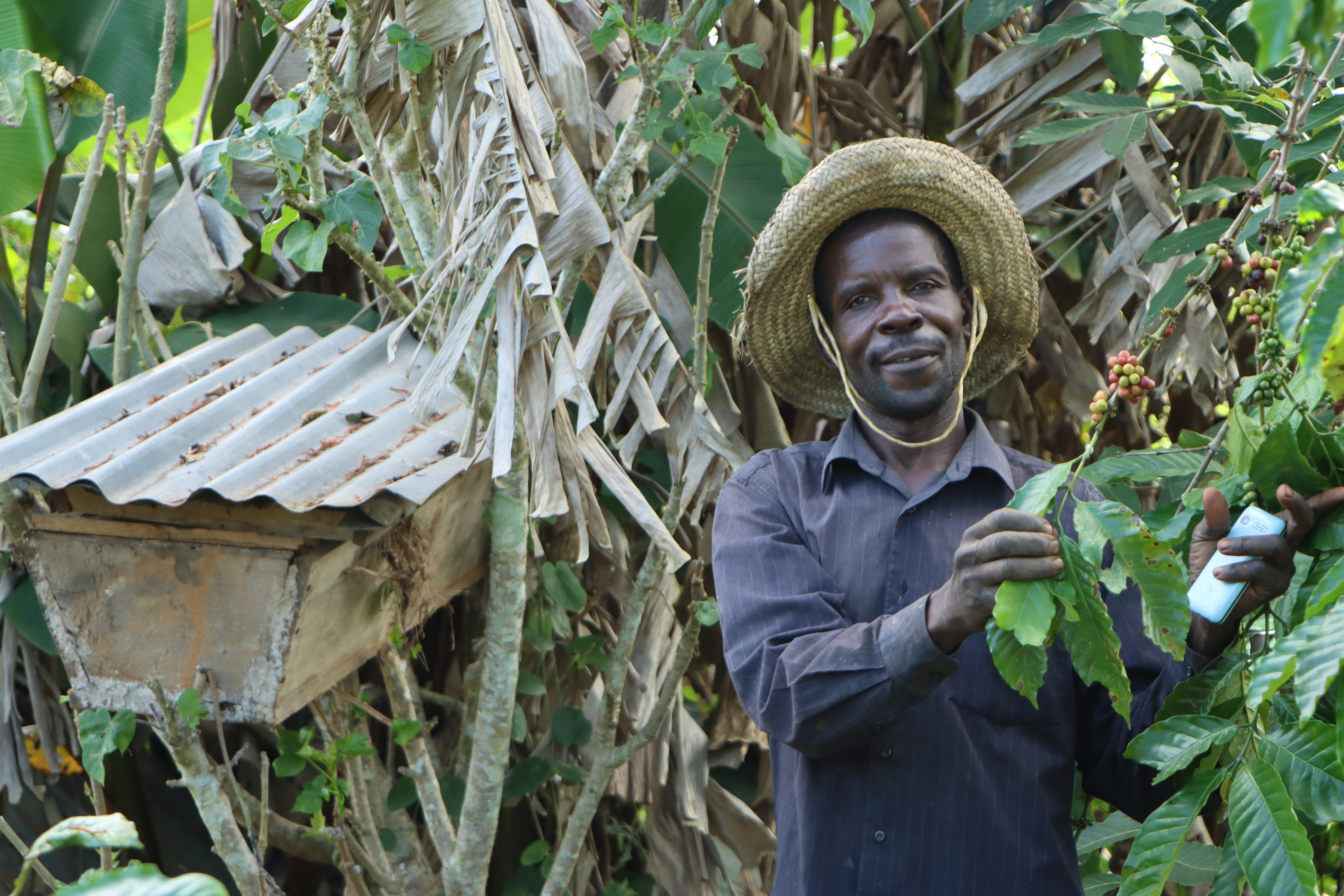MACBEE Project: Integrating Coffee, Macadamia & Beekeeping